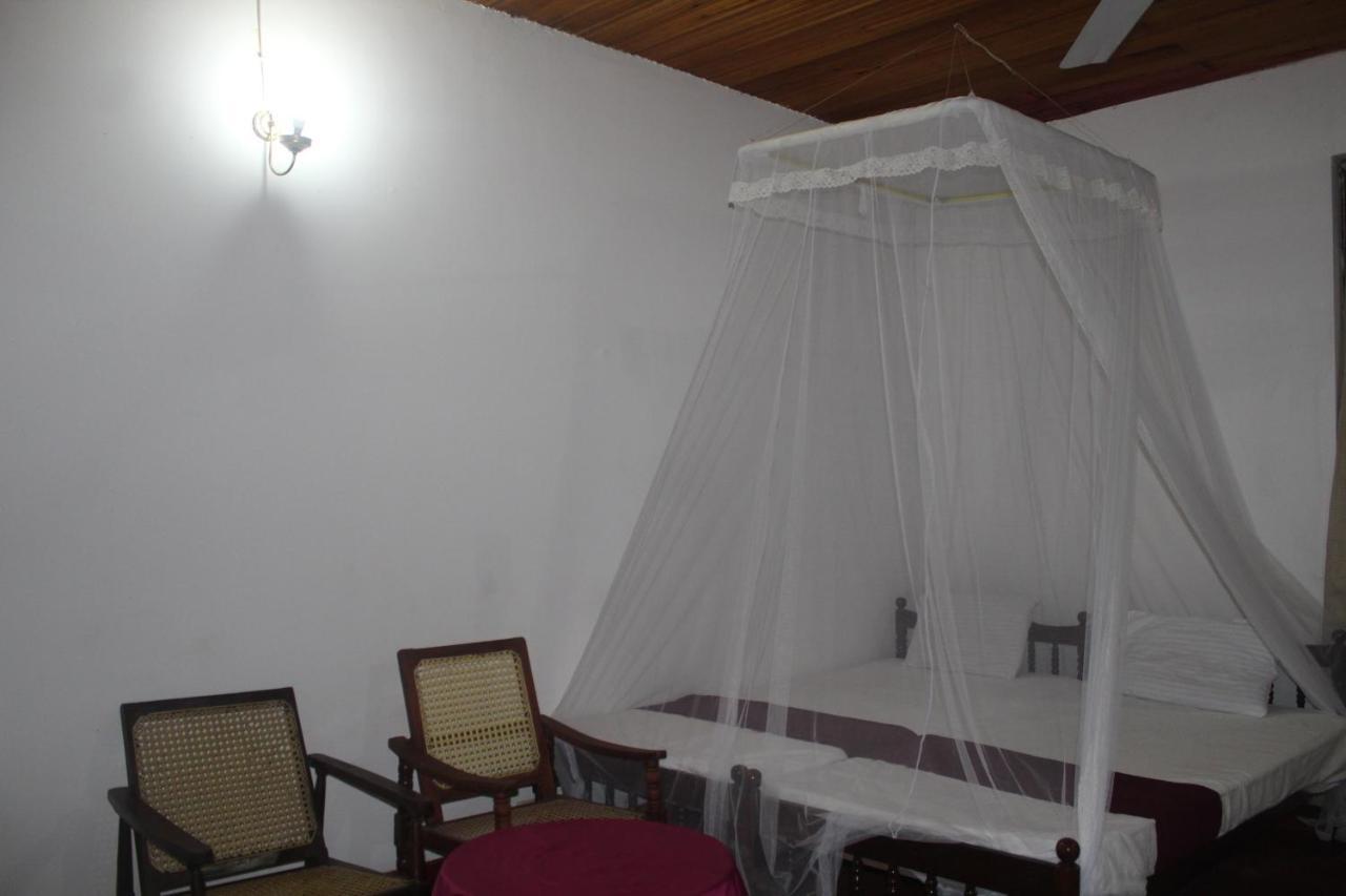 Lazy Bear Best Hostel In Канді Екстер'єр фото
