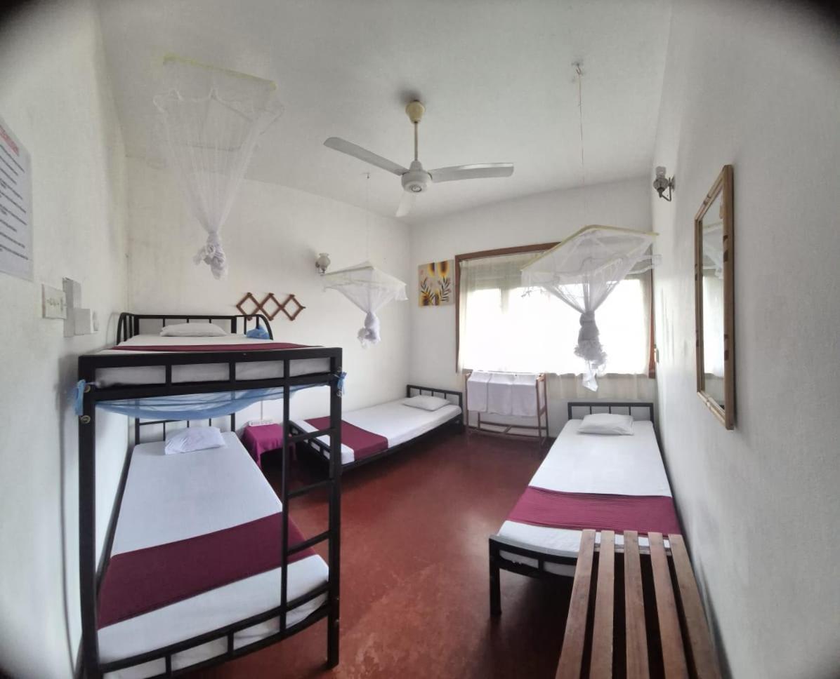 Lazy Bear Best Hostel In Канді Екстер'єр фото