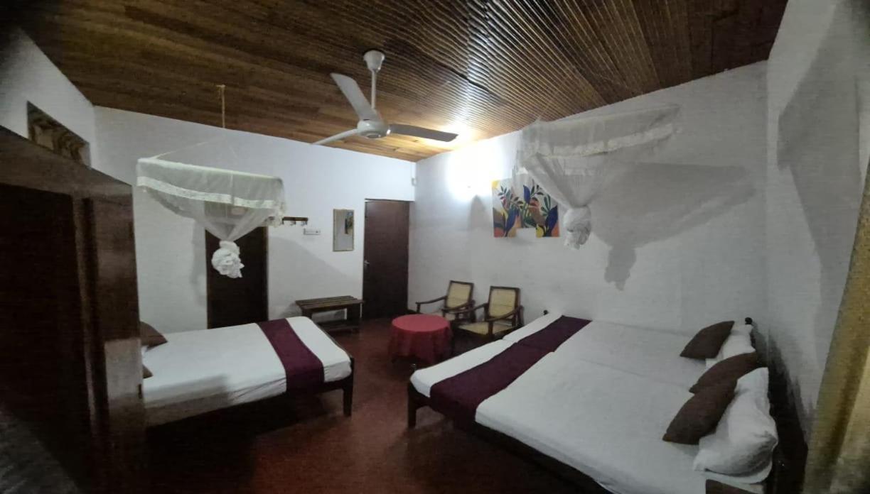 Lazy Bear Best Hostel In Канді Екстер'єр фото