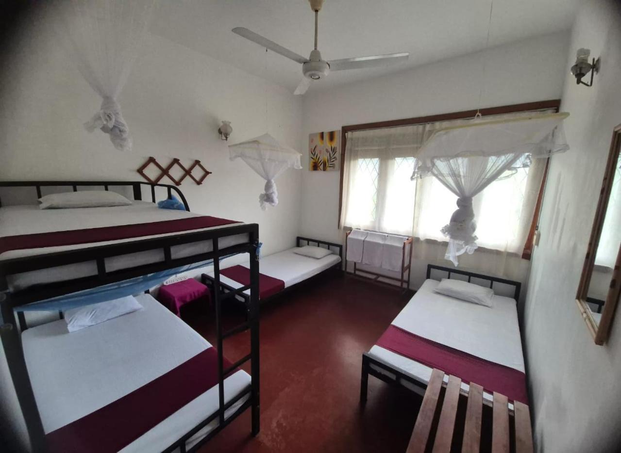 Lazy Bear Best Hostel In Канді Екстер'єр фото